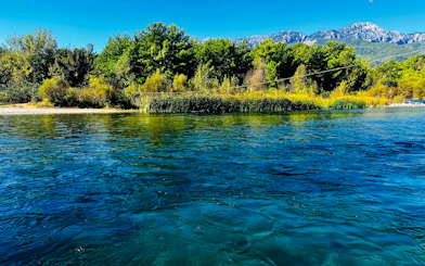 From Side, Belek, Alanya: Rafting & Buggy Safari & Zipline with Lunch & Hotel Transfers