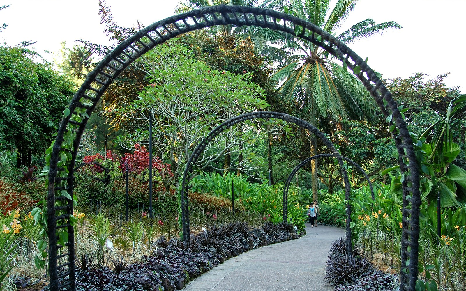 Silver Arches in National Orchid Garden