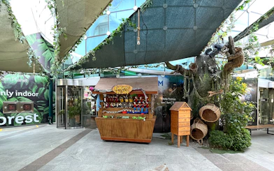 Rainforest toy shop and tree display at Green Planet Dubai entrance.