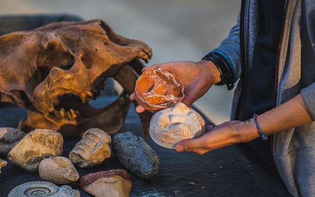 Hands holding fossils during Mleiha Fossil Hunt Expedition.