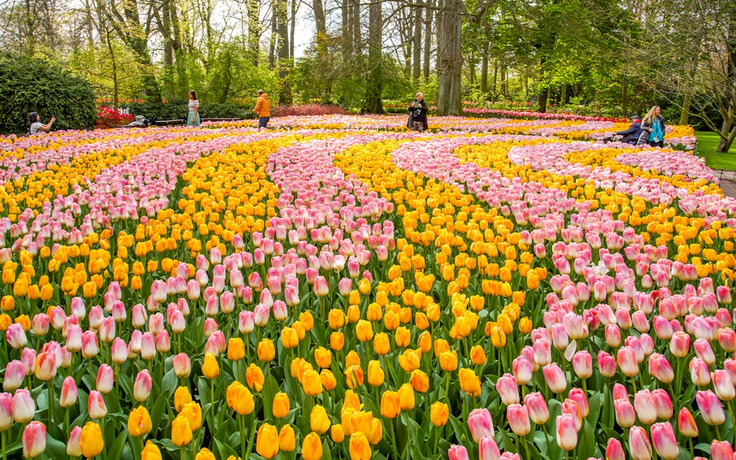Visitors walking among colorful tulip fields in Keukenhof Gardens.