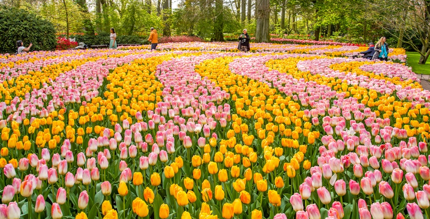 The Keukenhof 2025 season is here!