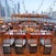 Dhow Cruise