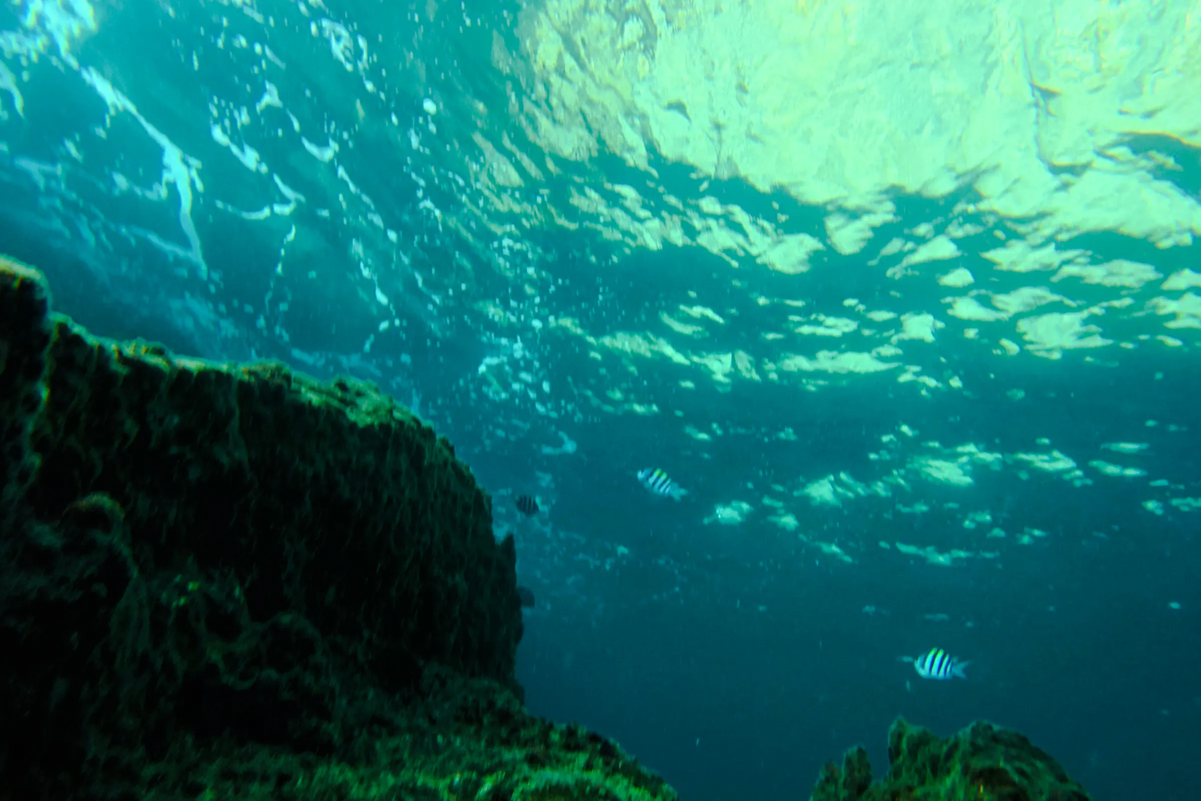 Underwater view with coral reef and fish near Koh Phi Phi, Thailand.