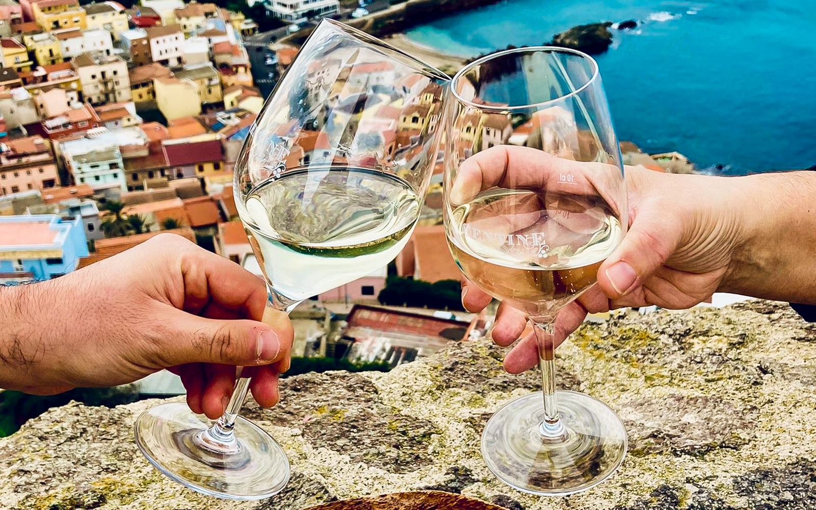 Toasting wine glasses overlooking Castelsardo during a guided tour with tastings.