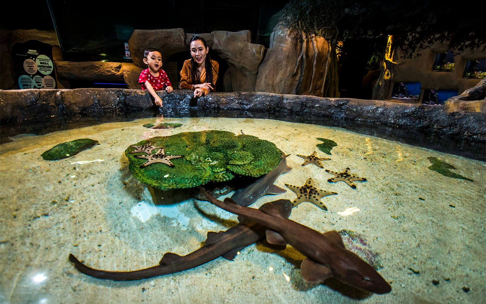 Les visiteurs explorent la vie marine à l'Aquaria KLCC de Kuala Lumpur, où les billets coupe-file permettent de vivre une expérience sans tracas.