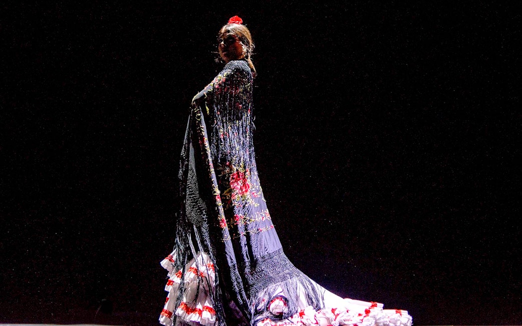 Flamenco dancer performing on stage with traditional dress at Pasión Espectáculo flamenco.