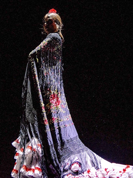 Flamenco dancer performing on stage with traditional dress at Pasión Espectáculo flamenco.