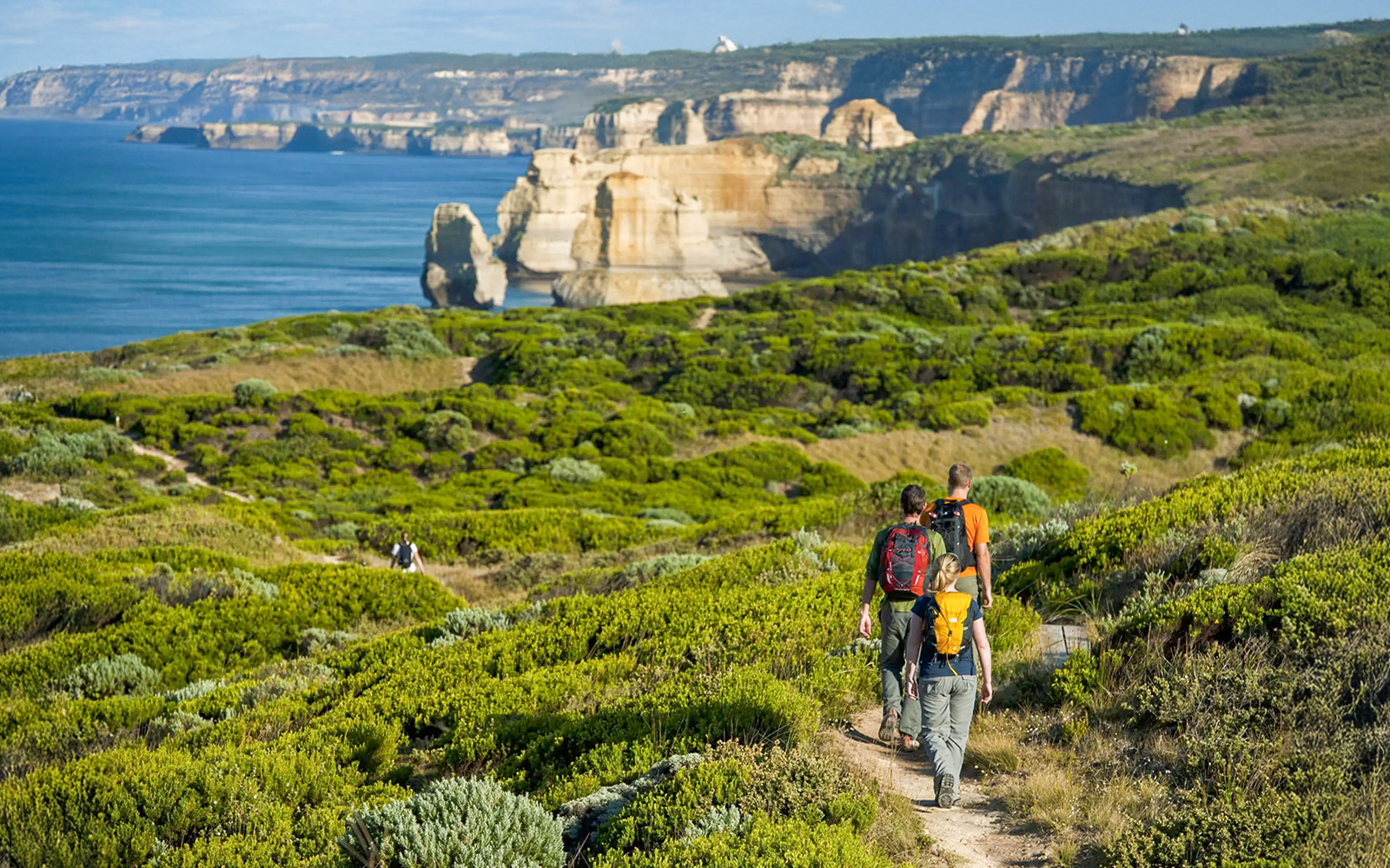 Hikers on a trail overlooking the scenic coastline of the Great Ocean Road, Australia.