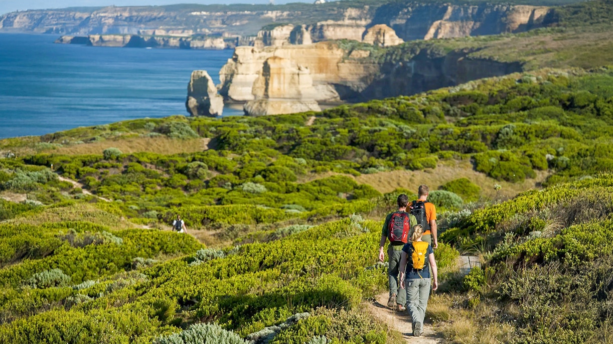 Hikers on a trail overlooking the scenic coastline of the Great Ocean Road, Australia.