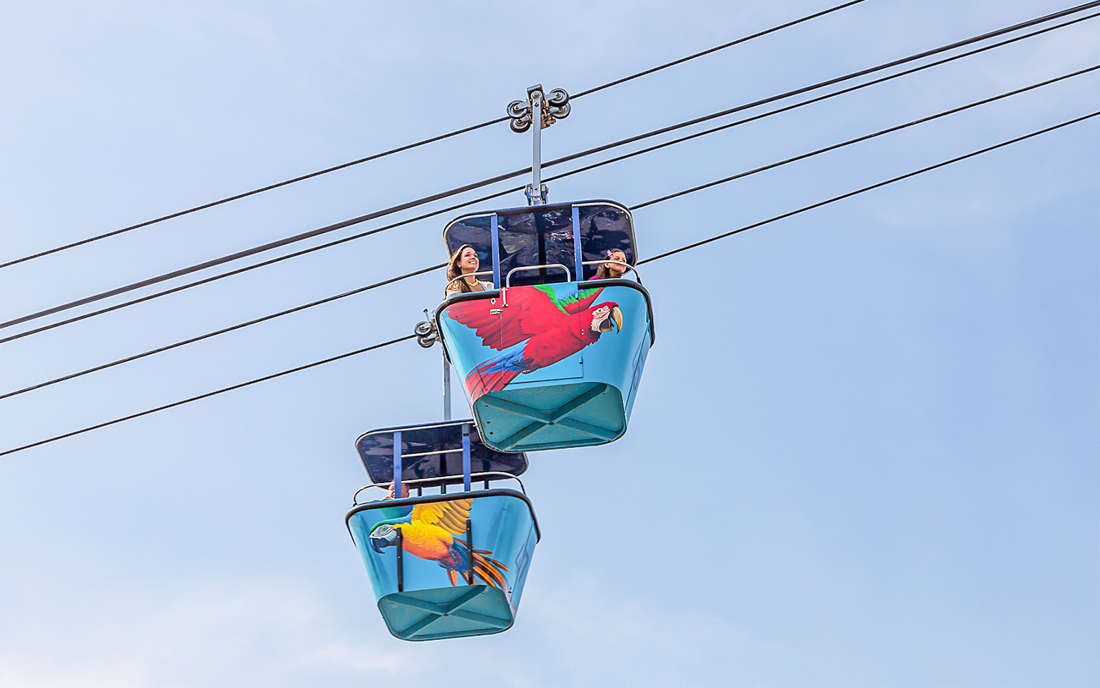 San Diego Zoo Safari Park