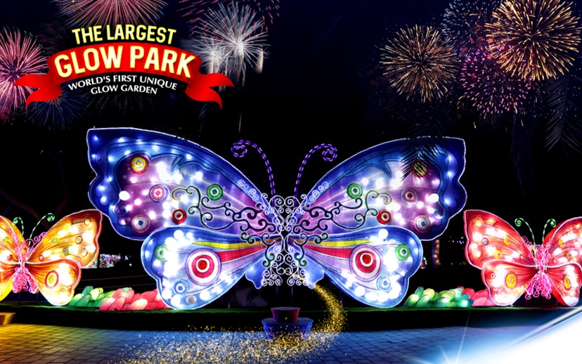Illuminated butterfly sculptures at Dubai Garden Glow with fireworks in the background.