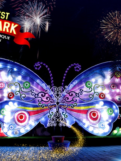 Illuminated butterfly sculptures at Dubai Garden Glow with fireworks in the background.