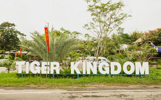 24892 - Phuket - Tiger Kingdom Experience with Private Transfer 4 hrs. - 01