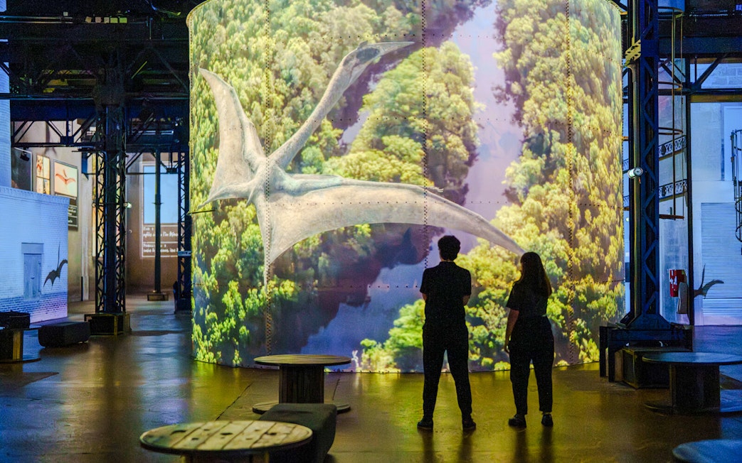 Visitors viewing a pterosaur projection at Prehistoric Planet: Discovering Dinosaurs exhibition, Atelier des Lumières.