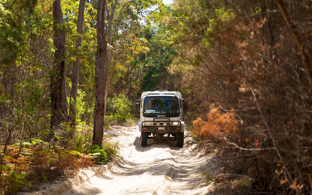 4WD vehicle navigating sandy trail through forest on Moreton Island, Australia.
