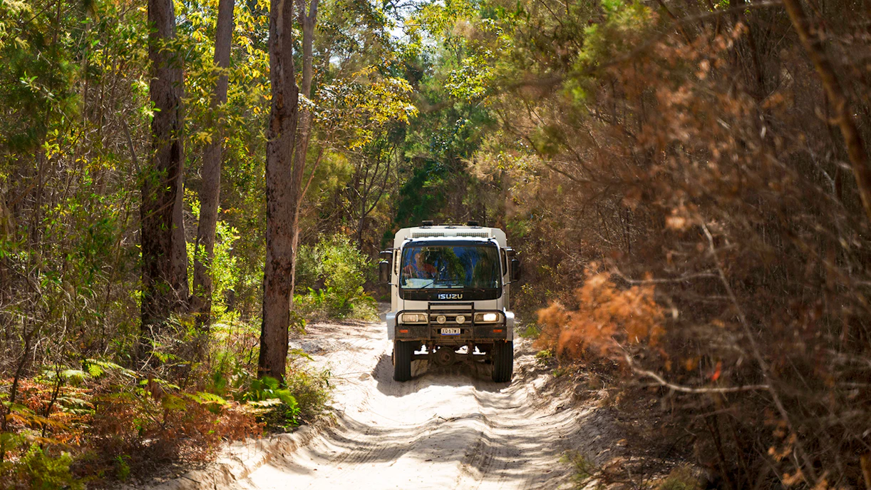 4WD vehicle navigating sandy trail through forest on Moreton Island, Australia.