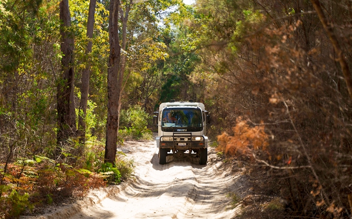 4WD vehicle navigating sandy trail through forest on Moreton Island, Australia.