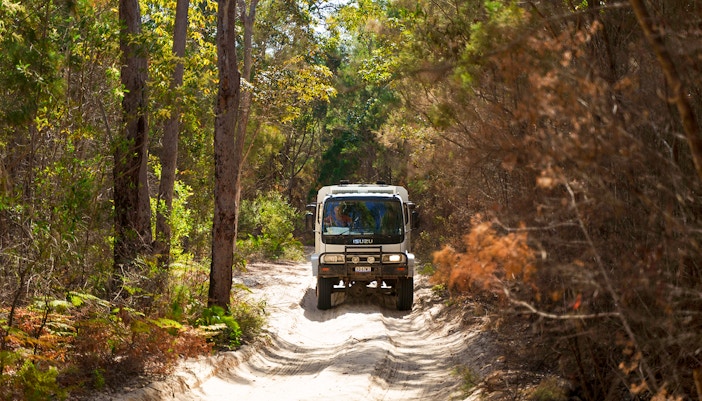 4WD vehicle navigating sandy trail through forest on Moreton Island, Australia.