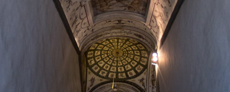 Medici Collection