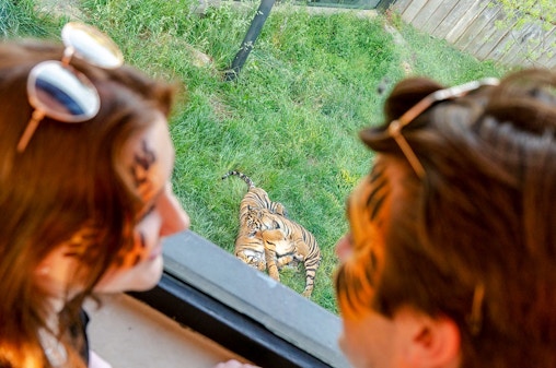 Zoo Nights at London Zoo