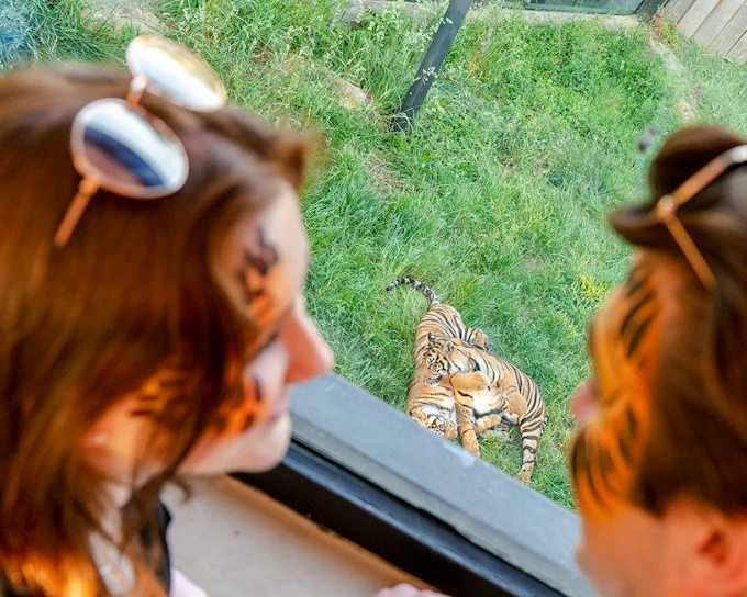 Zoo Nights at London Zoo