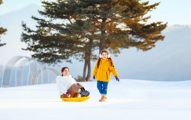 Family enjoying sledding at Vivaldi Park ski resort in Seoul.