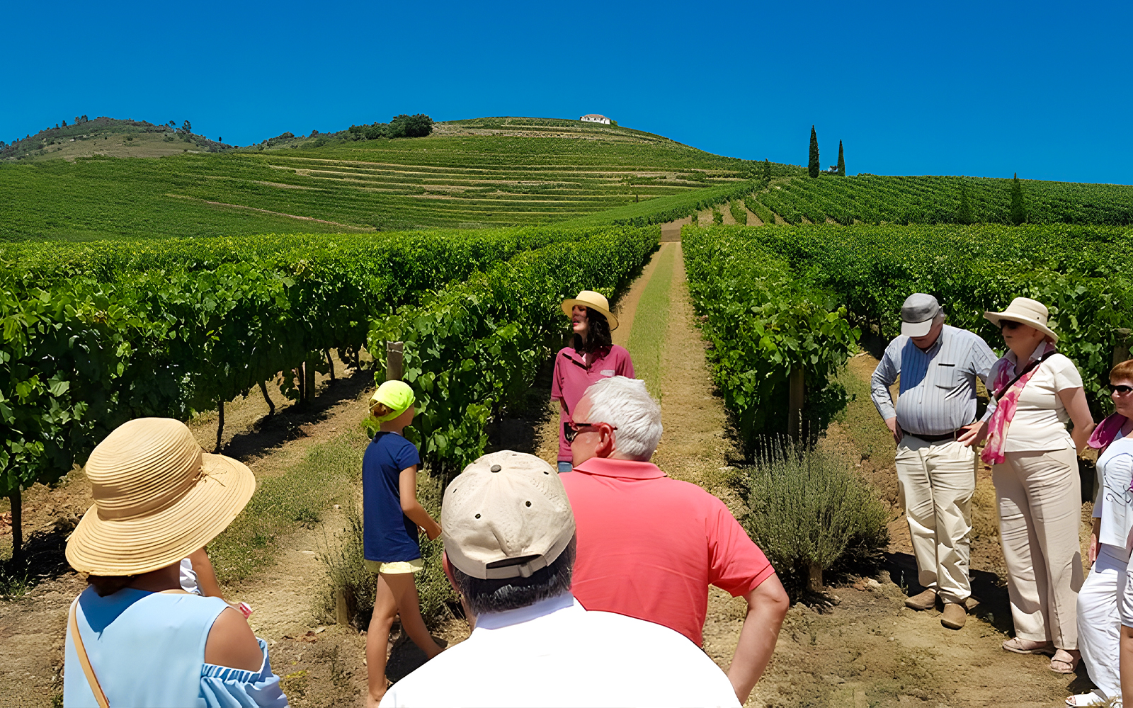 Tourists with guide in Douro Valley vineyard tour.