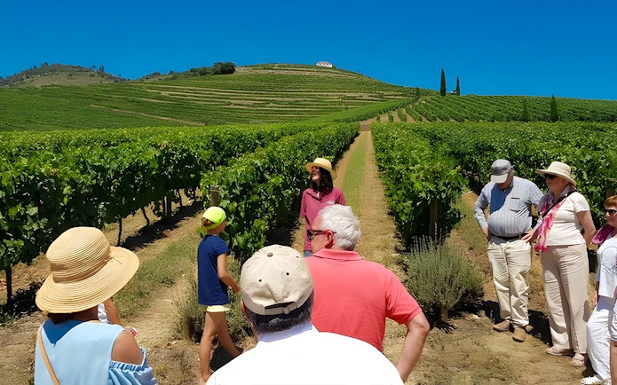 Tourists with guide in Douro Valley vineyard tour.