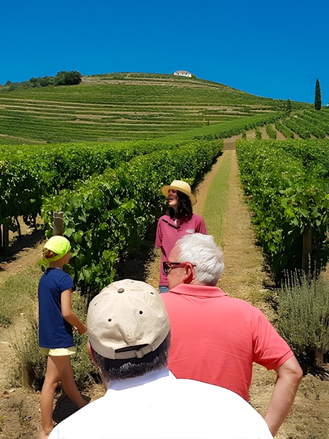 Tourists with guide in Douro Valley vineyard tour.