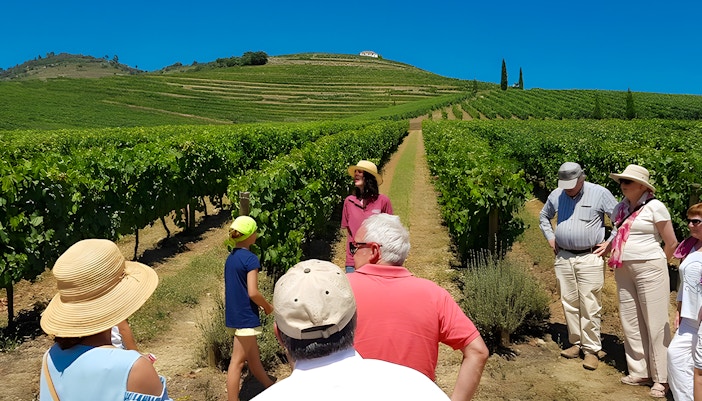 Tourists with guide in Douro Valley vineyard tour.