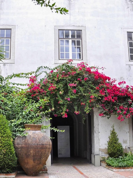 National Tile Museum courtyard with lush greenery and vibrant flowers, Lisbon.