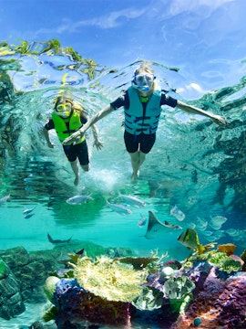 Guests snorkeling among corals and fish at Discovery Cove Orlando.