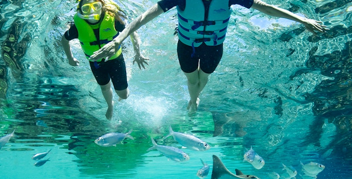 Guests snorkeling among corals and fish at Discovery Cove Orlando.