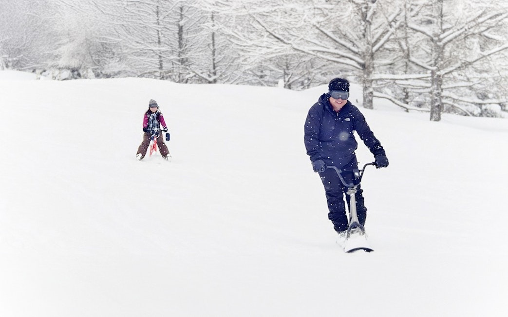Snowshoeing in snowy Nagano forest during full-day tour.