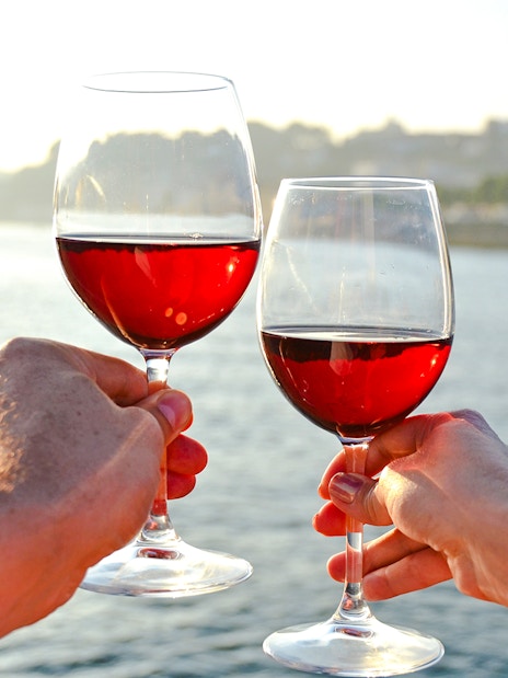 Tourists holding wine glasses by a riverside.