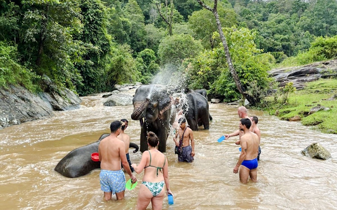 Visitors bathing elephants in a river at Chiang Mai Elephant Sanctuary, surrounded by lush greenery.