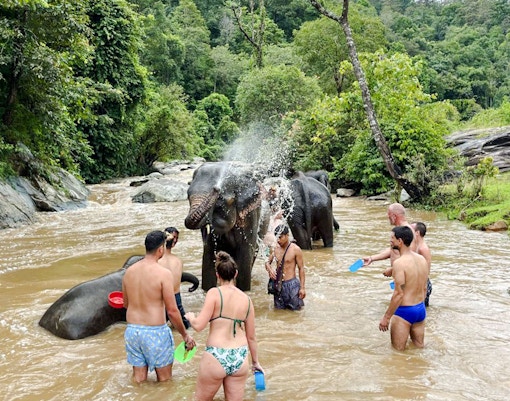 Visitors bathing elephants in a river at Chiang Mai Elephant Sanctuary, surrounded by lush greenery.