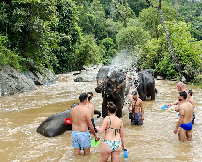 Chiang Mai: Pon Elephant Sanctuary, Monk Trail & Doi Suthep Tour Full-Day Guided Tour