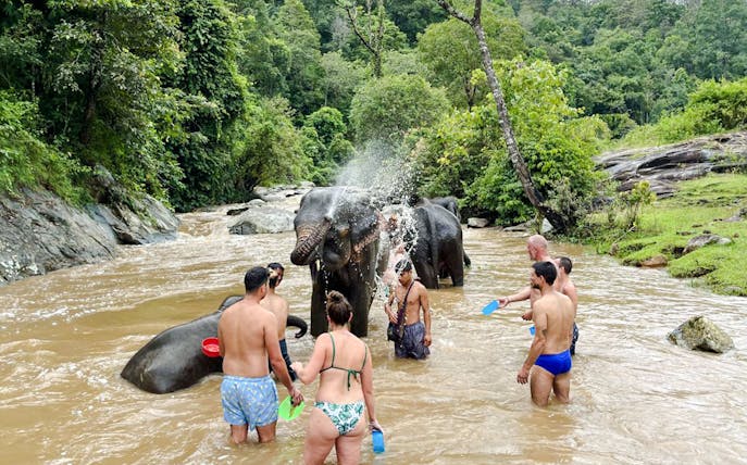 Visitors bathing elephants in a river at Chiang Mai Elephant Sanctuary, surrounded by lush greenery.