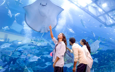 Family observing manta rays in Dubai underwater aquarium.