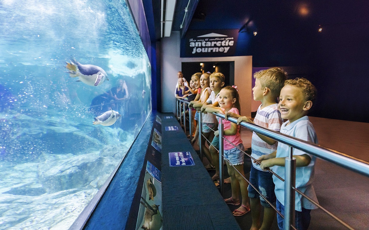 Children watching penguins swim at Sea World, Gold Coast.