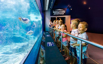 Children watching penguins swim at Sea World, Gold Coast.