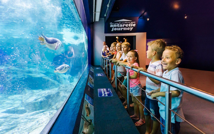 Children watching penguins swim at Sea World, Gold Coast.