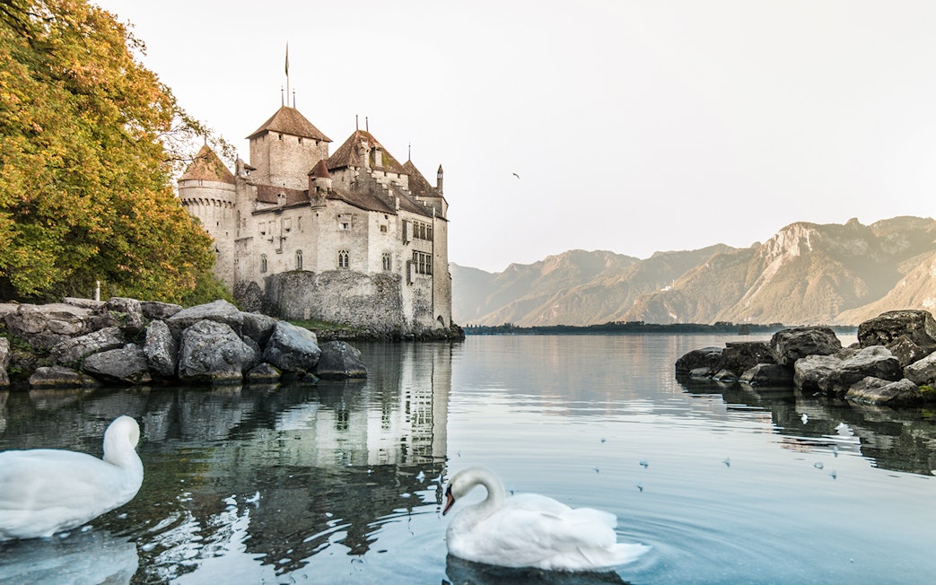 Chillon Castle on Lake Geneva with swans in the foreground.