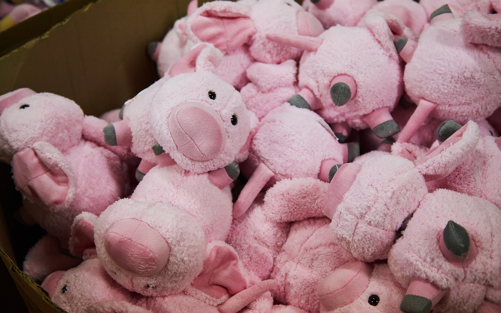 toy shop in Zoo Miami