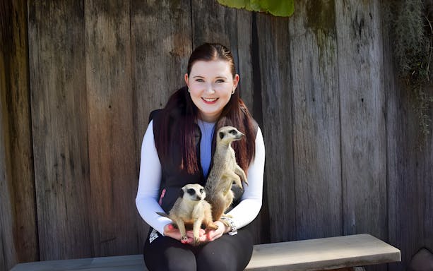 Person holding two meerkats at Mogo Zoo.
