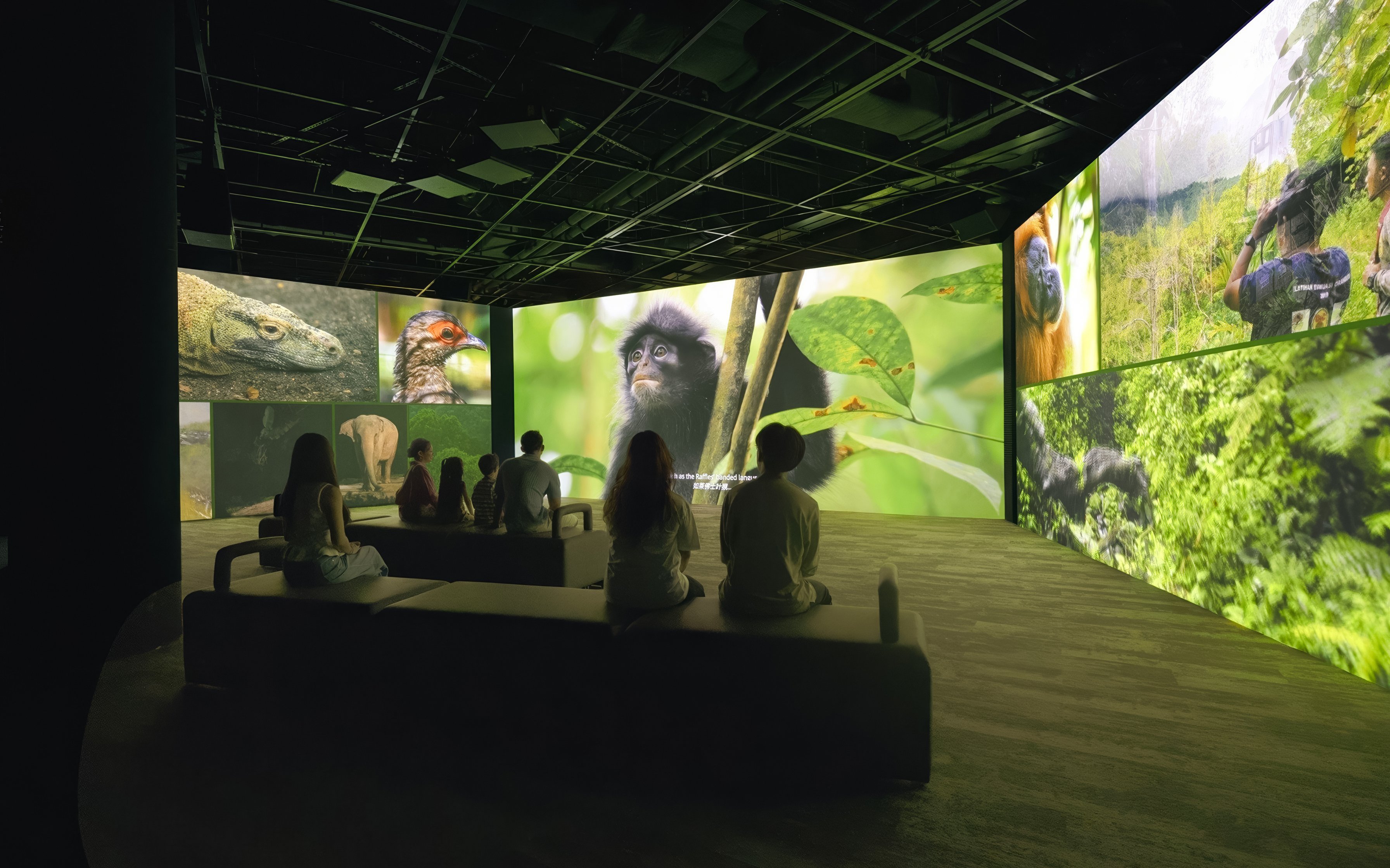 Visitors watching wildlife visuals at Curiosity Cove's audio-visual screening.