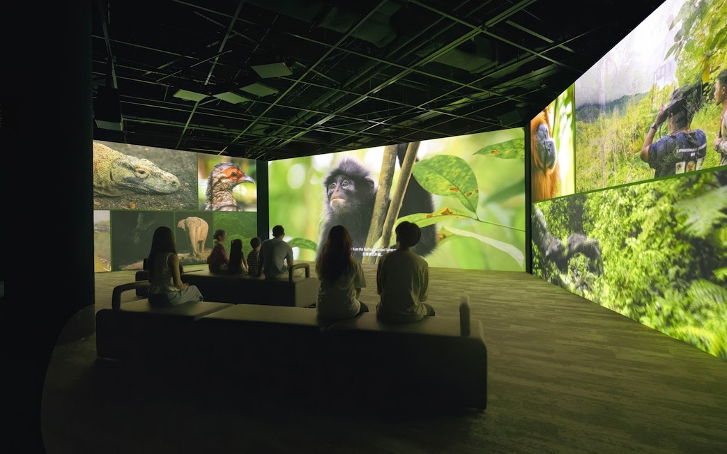 Visitors watching wildlife visuals at Curiosity Cove's audio-visual screening.