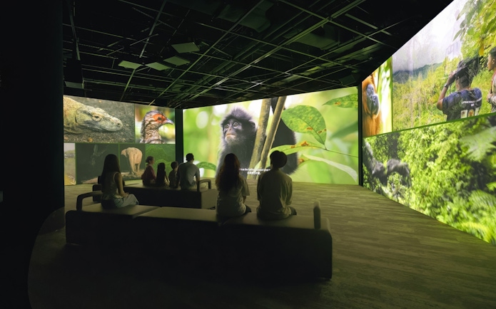 Visitors watching wildlife visuals at Curiosity Cove's audio-visual screening.